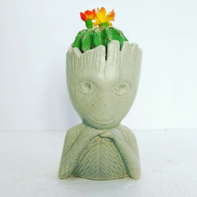 Groot Planter